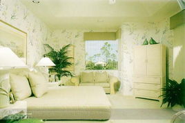 液態壁紙裝修施工6大優點 解決裝修選壁紙的難題