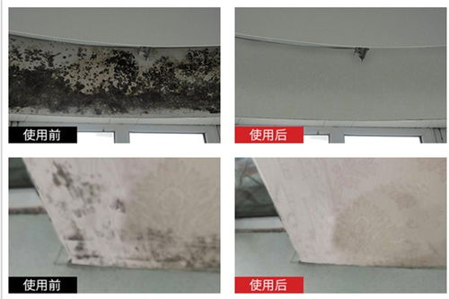 高坪塑料防霉劑廠家直銷室內(nèi)放置1h